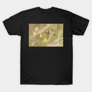 Sulphur Butterfly T-Shirt